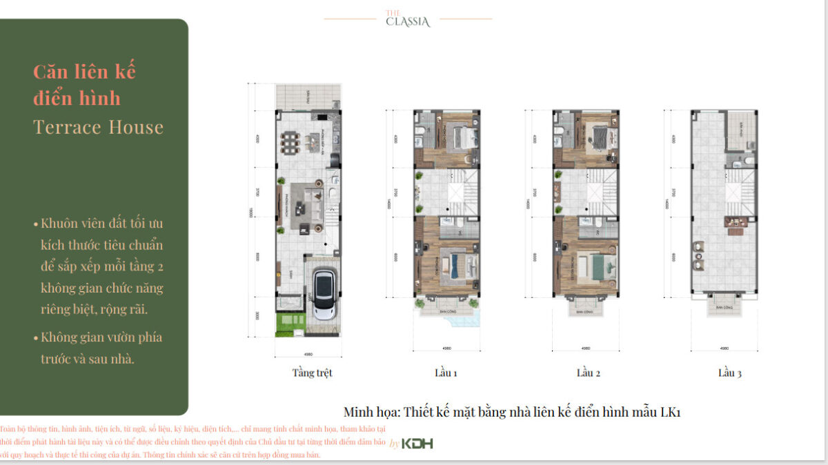 Classia diện tích 5x19 điển hình